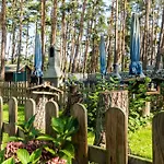 Urlaub Im Wohnwagen Mitten Im Wald