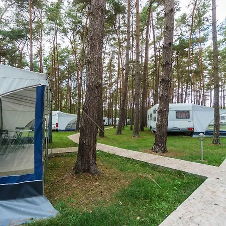 Campingplads Urlaub Im Wohnwagen Mitten Im Wald