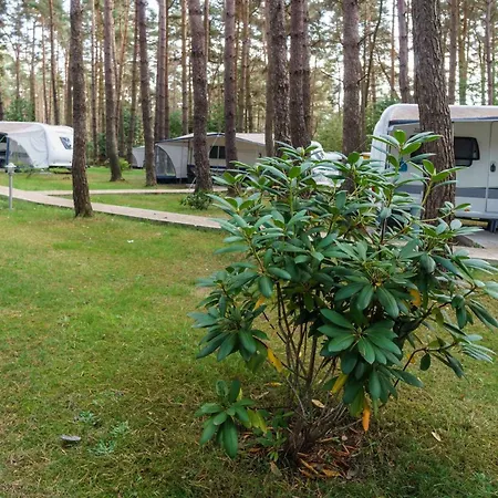 Urlaub Im Wohnwagen Mitten Im Wald Campingplads Lutow