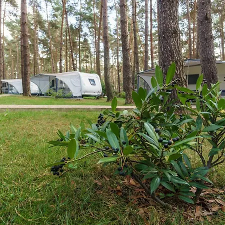 Urlaub Im Wohnwagen Mitten Im Wald *