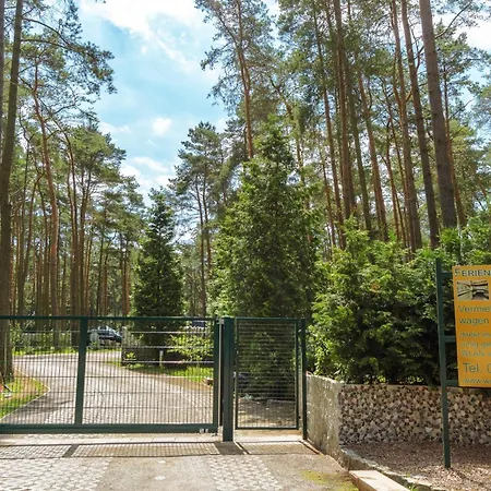 Urlaub Im Wohnwagen Mitten Im Wald Campingplads