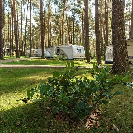 Urlaub Im Wohnwagen Mitten Im Wald Campingplads