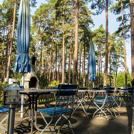 Urlaub Im Wohnwagen Mitten Im Wald 营地