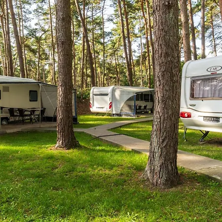 Urlaub Im Wohnwagen Mitten Im Wald Lutow