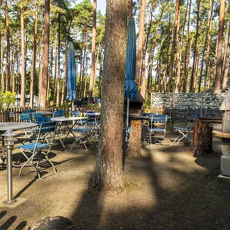 Urlaub Im Wohnwagen - Mitten Im Wald キャンプ場