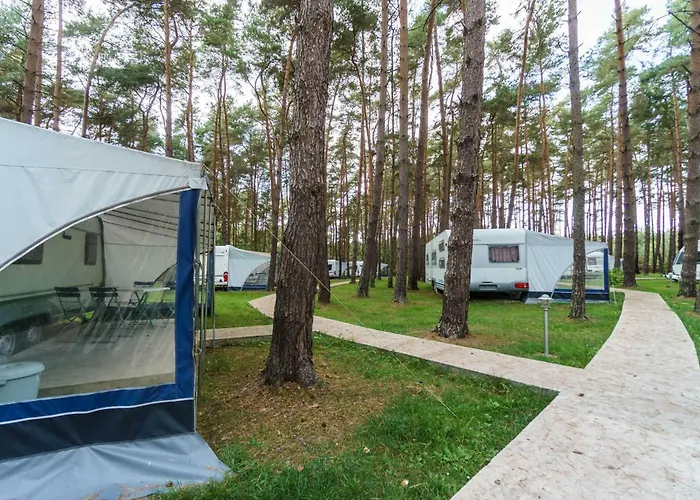 Campingplatz Urlaub Im Wohnwagen Mitten Im Wald