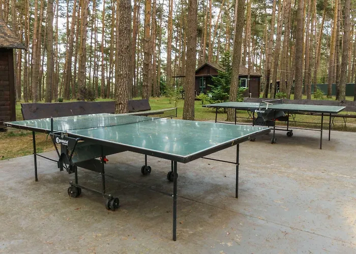 Urlaub Im Wohnwagen Mitten Im Wald Campingplatz