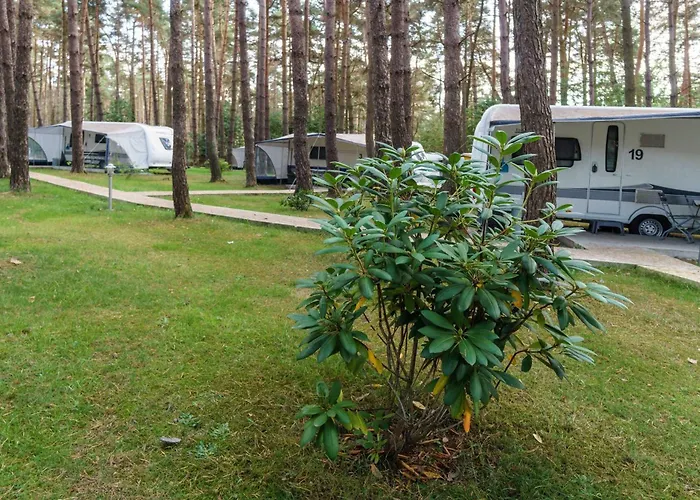 Urlaub Im Wohnwagen Mitten Im Wald Campingplatz Lutow