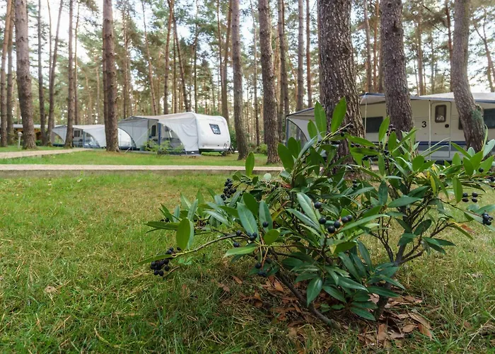Urlaub Im Wohnwagen Mitten Im Wald *