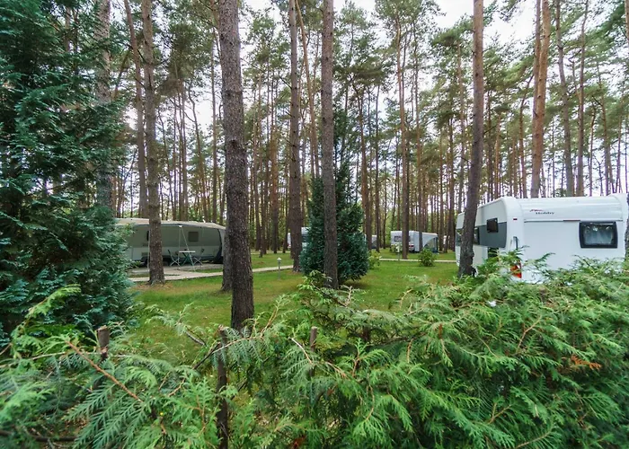 Urlaub Im Wohnwagen Mitten Im Wald Campingplatz Lutow