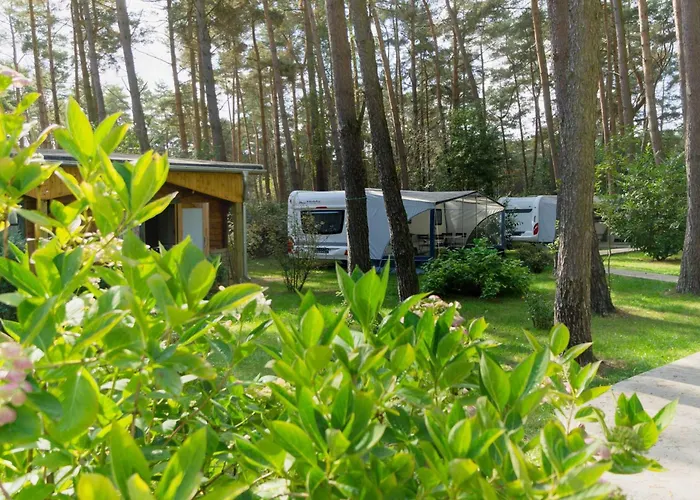 Urlaub Im Wohnwagen Mitten Im Wald *