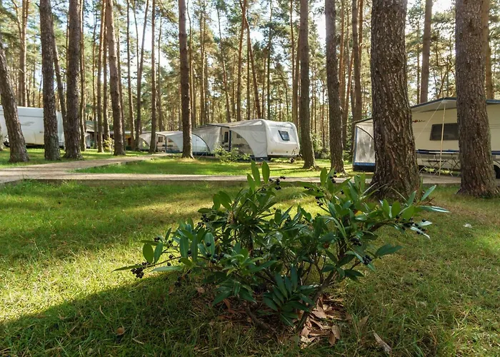 Urlaub Im Wohnwagen Mitten Im Wald Campingplatz